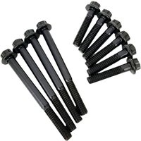 Image of 8022 - Feuling Parts Cam Plate & Oil Pump Fastener Kit For Harley Davidson FLDE 1750 2018-2020 - Black Oxide