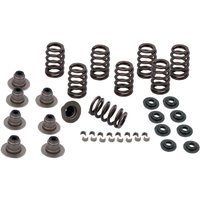 Image of 900-0958 - S&S Cycle Valve Spring Kit For Harley Davidson FLDE 1750 2018-2020
