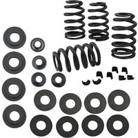 Image of 900-0595 - S&S Cycle 0.585" Valve Spring Kit For Harley Davidson FLD 1690 2012-2013