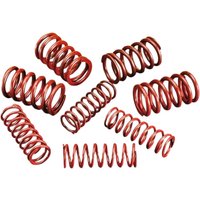 Image of 294150 - Andrews High-Lift Valve Spring Kit For Harley Davidson FLH 1340 1984