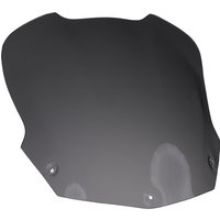 Image of Airblade Light Smoked Standard Replacement Screen - BMW F800S 2006-2012