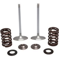 Image of 40-41450 - Kibblewhite Intake Stainless Conversion Valve & Spring Kit For Kawasaki KXF250 2017-2019 Intake