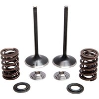 Image of 30-31230 - Kibblewhite Intake Stainless Conversion Valve & Spring Kit For Honda CRF450X 2005-2018 Intake