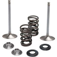 Image of 40-41650 - Kibblewhite Intake Stainless Conversion Valve & Spring Kit For Kawasaki KX250 2021 Intake