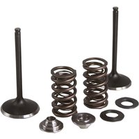 Image of 80-82350 - Kibblewhite Intake Stainless Conversion Valve & Spring Kit For Yamaha YZF250 2019 Intake