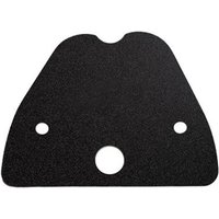 Image of TBCGG14A-FB - Apico Top Rad Cover For Gas Gas TXT/TXT Pro/Racing 2023-2025 Factory Black