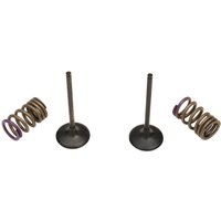 28.SIS4338-2 - Prox Valve & Spring Kit For Kawasaki KXF250 2009-2010 Intake - Steel