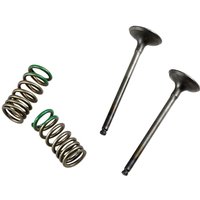 28.SES2402-1 - Prox Valve & Spring Kit For Gas Gas EC 250 2010-2011 Exhaust - Steel