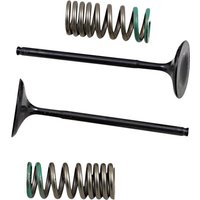 28.SIS1340-2 - Prox Valve & Spring Kit For Honda CRF250R 2010-2017 Intake - Steel