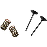 28.SIS4341-2 - Prox Valve & Spring Kit For Kawasaki KXF250 2011-2016 Intake - Steel