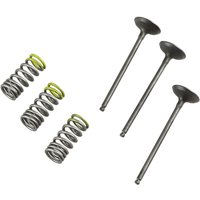 28.SIS2402-2 - Prox Valve & Spring Kit For Gas Gas EC 250 2010-2011 Intake - Steel