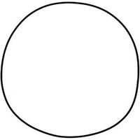 19.G1334 - Prox Clutch Protector Gasket For Honda CRF250R 2004-2009