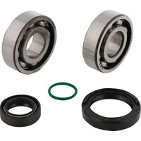 Image of 24-1131 - Moose Racing Crankshaft Bearing & Seal Kit For Gas Gas MC50 2024-2026