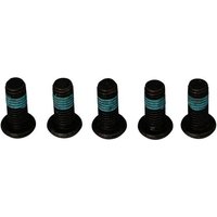 Image of MSS133-5 - TRW Brake Disc Bolt Set For Ducati 1098 2007-2008