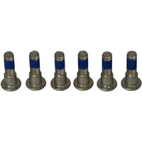 Image of MSS132-6 - TRW Brake Disc Bolt Set For Triumph Daytona 600 2003-2004