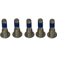 Image of MSS118-5 - TRW Brake Disc Bolt Set For Suzuki GS 500 E 2001-2007