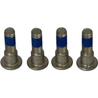 Image of MSS132-4 - TRW Brake Disc Bolt Set For Triumph Daytona 600 2003-2004