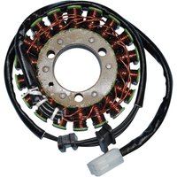 21-210 - Ricks Stator For Kawasaki KEF 300 2X4 1995-2003