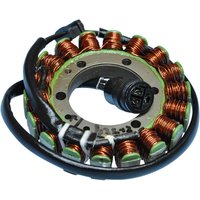 21-224 - Ricks Stator For Kawasaki ZX-6 R 600 2000-2002