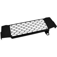Image of 10004618 - Zieger Radiator Guard For Honda CB 125 R ABS Neo Sports Cafe 2018-2022 - Black