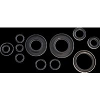 Image of KOS017 - Vintco Oil Seal Kit For Kawasaki KDX 250 1980-1981