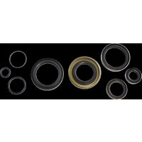 Image of KOS015 - Vintco Oil Seal Kit For Kawasaki KX250 1974-1976