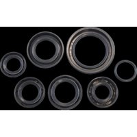 KOS003 - Vintco Oil Seal Kit For Honda CR125 1980