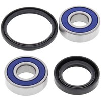 25-1604-A - All Balls Wheel Bearing Kit For Honda XRV 750 1990-2003 Front