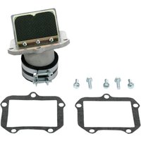 RAD42X - Boyesen Rad Valve Reed Cage Assembly For KTM EGS 300 1993-1997 - Black/Silver