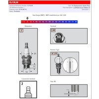 Image of RJ19LM - Champion Spark Plug For Trail Sport TS-500 180 2004-2006