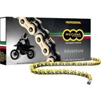 135ZRE/1034 - Regina 520 ZRE Z-Ring Chain 94 Links