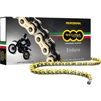 135ZSE/1002 - Regina 520 ZSE Chain 116 Links - Gold