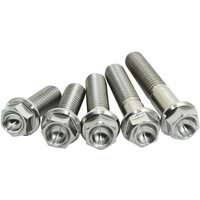 STIM8X3004 - Scar Screws For Honda CR85R 2003-2007 - Titanium