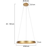 Steinhauer Ringlux LED-hänglampa, 1 lampa, guldfärgad, metall
