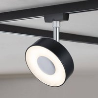 Paulmann URail Circle spot black dimmable 4,000 K
