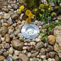 EVN Meerkat, round, 60°, stainless steel, 6W, 3,000 K