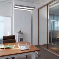 LED-bordslampa MAULjuvis, silver, 120 cm dimbar klämfot