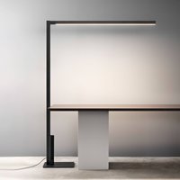 Lampe sur pied LED OLEV Crane, 4 000 K, noir, métal, à intensité variable