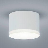 Helestra Pala - cylindrical LED downlight, white