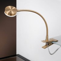 ORION Mira LED clip-on light, flexible arm, gold