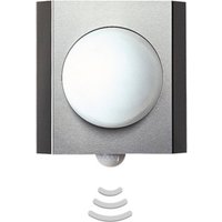 Albert Leuchten Utomhusvägglampa 512 med rörelsesensor