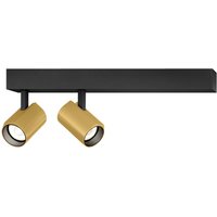 Wever & Ducré Lighting WEVER & DUCRÉ Ceno LED spotlight, black/gold, 2,700 K, 2-bulb