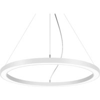 BRUMBERG Biro Circle Ring5 direct Ø 60 cm DALI, white