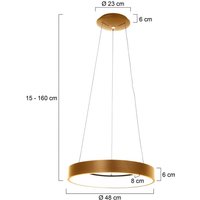 Steinhauer LED-hänglampa Ringlede, Ø 48 cm, guld