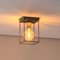 Luminex Anna ceiling light with metal frame, 1-bulb