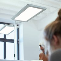 Waldmann Lampadaire LED Yara.double 4 000K, BT, PIR, argent