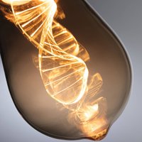 Paulmann LED bulb E27 3.5W Helix 1,800K ST64 gold