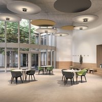 Ribag Vior bold plafonnier 40W 45° 3.000K noir