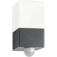 LCD Utomhusvägglampa Linus, grafit, sensor, stål, glas, E27