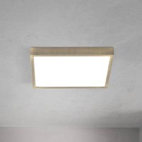 ORION lámpara LED de techo Disc